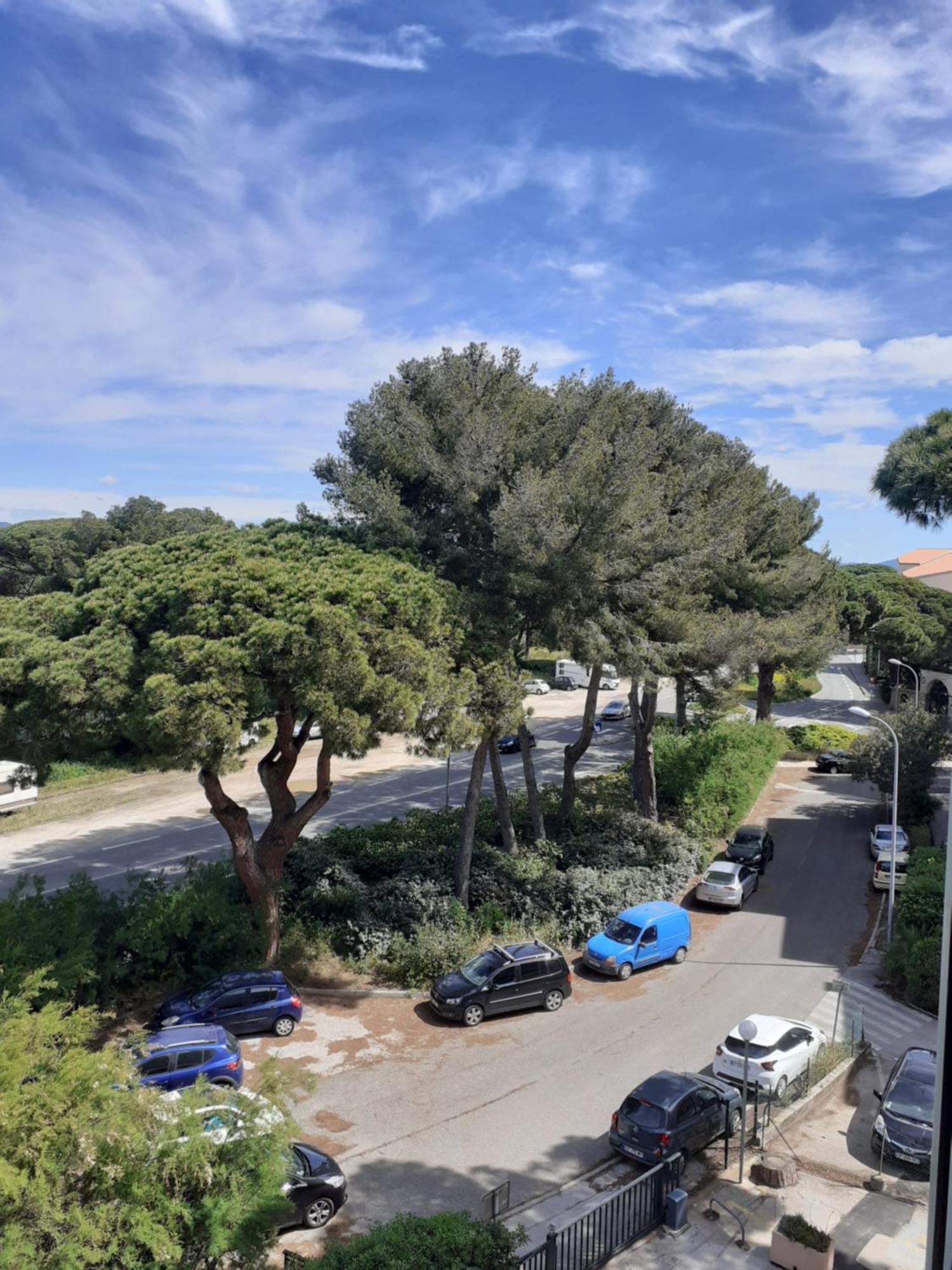 Studio Hyeres Port Et Iles D'Or. Bagian luar foto